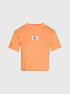 Calvin Klein T-shirt In Jersey A Costine Con Stemma -Offerta Economica Calvin Klein J20J221595 SFX alternate5