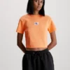 Calvin Klein T-shirt In Jersey A Costine Con Stemma 2 Calvin Klein T-shirt In Jersey A Costine Con Stemma -Offerta Economica Calvin Klein J20J221595 SFX main