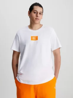 Calvin Klein T-shirt Con Stemma -Offerta Economica Calvin Klein J30J322879 YAF alternate1