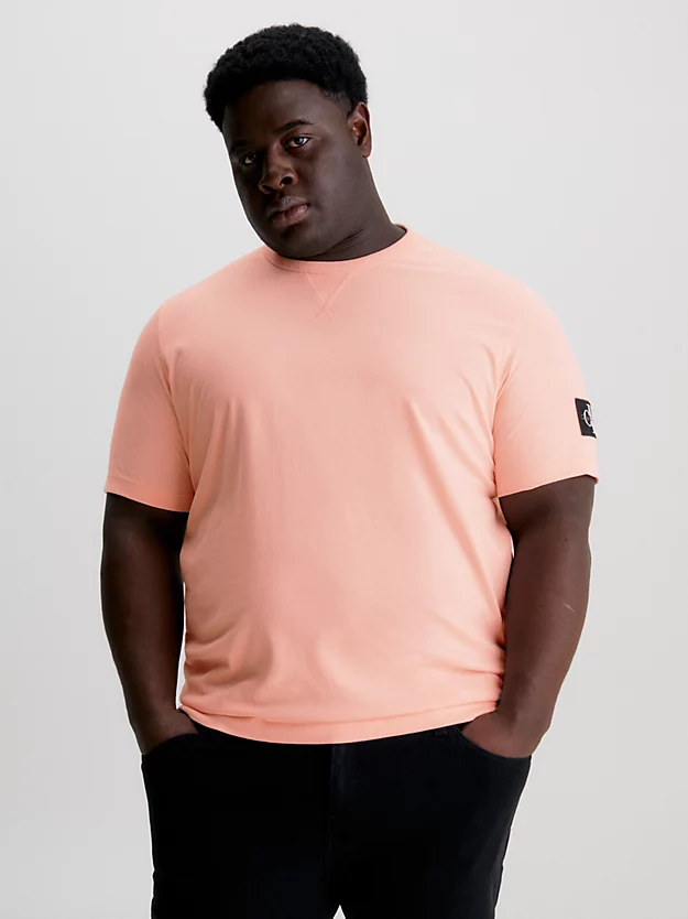 Calvin Klein T-shirt In Cotone Con Stemma 4 Calvin Klein T-shirt In Cotone Con Stemma - immagine 2