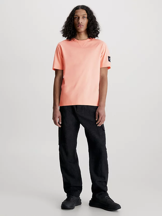 Calvin Klein T-shirt In Cotone Con Stemma 7 Calvin Klein T-shirt In Cotone Con Stemma - immagine 5