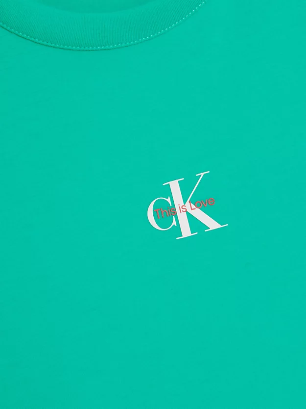 Calvin Klein T-shirt Slim Con Monogramma - Pride 11 Calvin Klein T-shirt Slim Con Monogramma - Pride - immagine 9