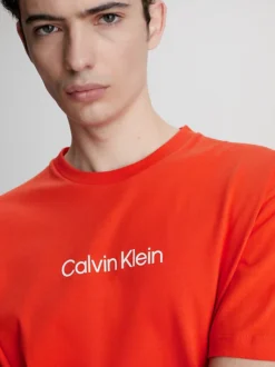 Calvin Klein T-shirt Con Logo In Cotone -Offerta Economica Calvin Klein K10K111346 SB1 alternate2