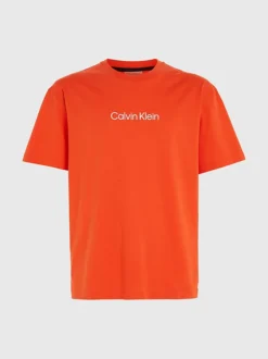Calvin Klein T-shirt Con Logo In Cotone -Offerta Economica Calvin Klein K10K111346 SB1 alternate4